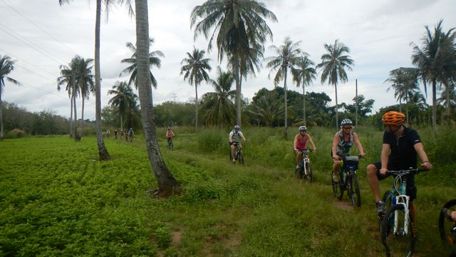 Cycling Trip